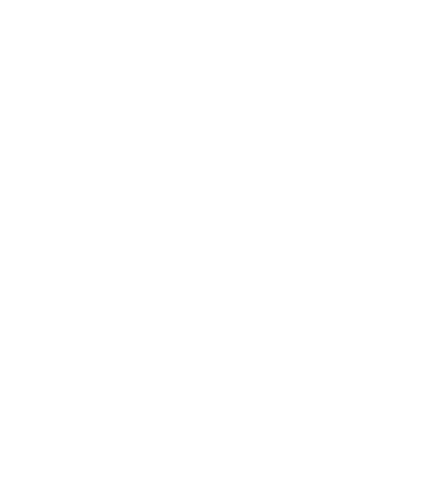 LightSUP Logo