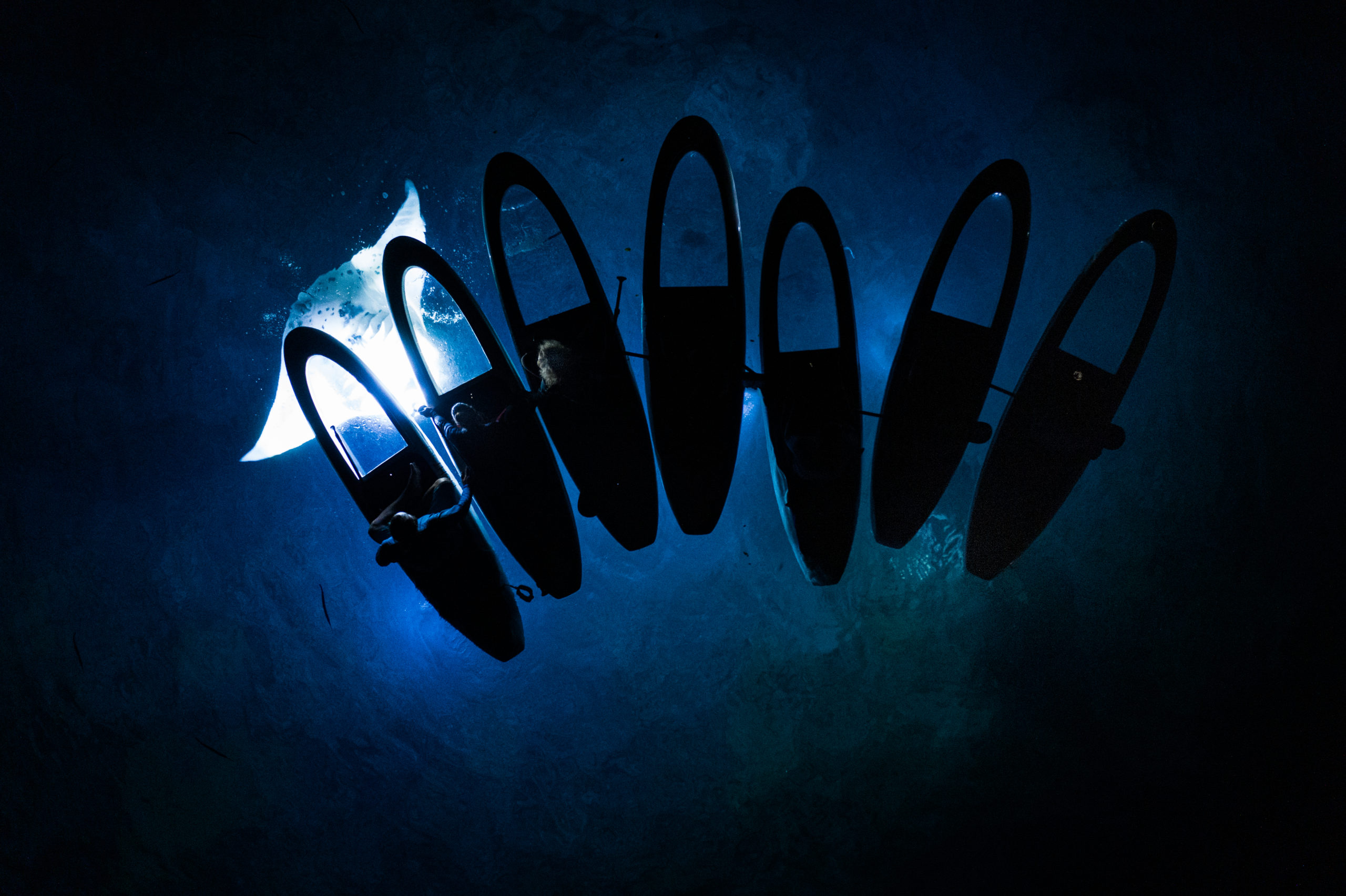 LightSUP Boards Manta Ray Line Up