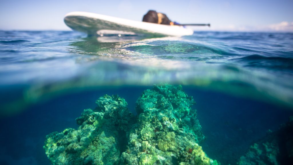 LightSUP Paddle Boards DayLight Ocean Coral