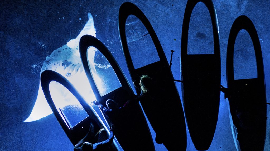 LightSUP Boards Manta Ray NightLight Magic