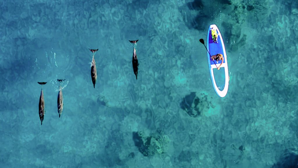 LightSUP Boards Social Distance